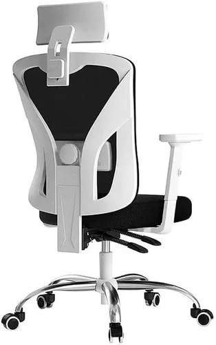 Ergonomic Office Chair High Back Mesh Office Chair Computer Chair Desk Chair with 3D Armrest and Adjustable Headrest Ergonomic Curved Lumbar
