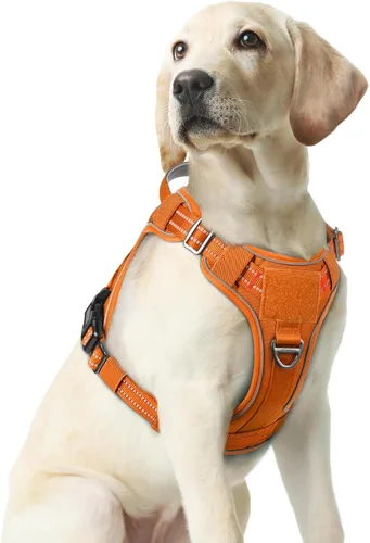 Vista 39 de rabbitgoo - Arnés para perros pequeño sin tirones, chaleco táctico de servicio con Molle y asa de control, arnés militar ajustable y reflectante