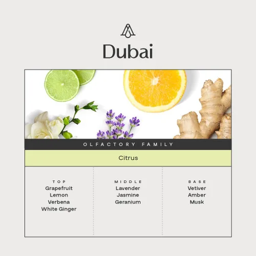 Vista 3 de AromaPlan Aromas de Hotel Dubai, 50 ml (1.7 Fl Oz) - Aceite Difusor de Aroma y Fragancia de Lujo para el Hogar y Hotel - Aceite Difusor de Hotel