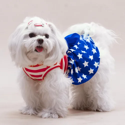 Vista 7 de PUPTECK Vestido estampado para perro, ropa para mascotas para el 4 de julio con lindo corbatín para cachorros, bandera, XS