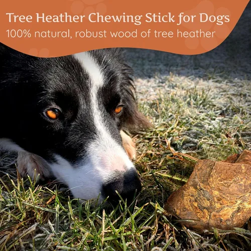 Vista 8 de Wildfang Raíz masticable de madera de brezo, grande – Juguetes masticables de madera sin astillas, para masticadores agresivos, juguetes naturales
