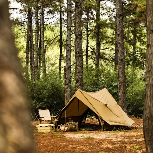 Vista 8 de Dandelion Shell Tienda Cabaña Caliente Plus X3 con Conector para Estufa – Refugio Ligero de 4 Estaciones para 2–3 Personas, Impermeable y Resistente