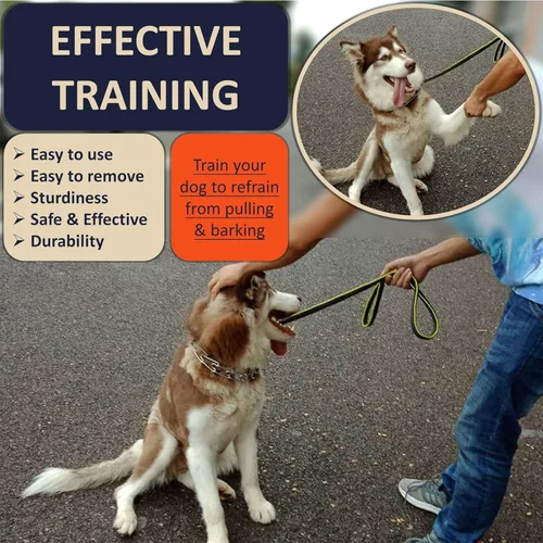 Vista 2 de DEYACE Collar de entrenamiento para perros de liberación rápida, ajustable, de acero inoxidable, para perros pequeños, medianos y grandes