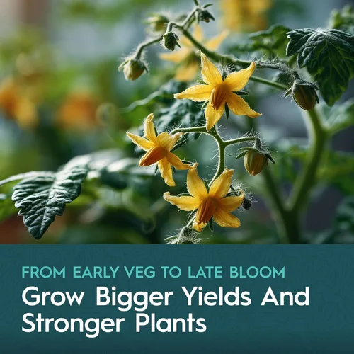 Vista 8 de Kit de nutrientes de 5 partes, sistema de nutrición líquida para crecimiento y floración, base A, base B, caMg, flexible, flujo, apoya