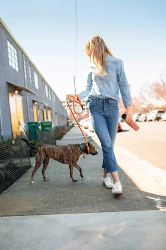 Vista 3 de CamelBak Beck - Botella de agua de acero inoxidable con aislamiento al vacío, 20 onzas