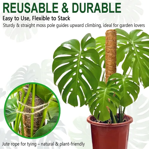 Vista 5 de Soupiar 2 Pack 22 Inch Stackable Moss Pole - Thick & Sturdy Natural Coir Totem Plant Support & Garden Stakes for Monstera & Pothos, Indoor Climbing