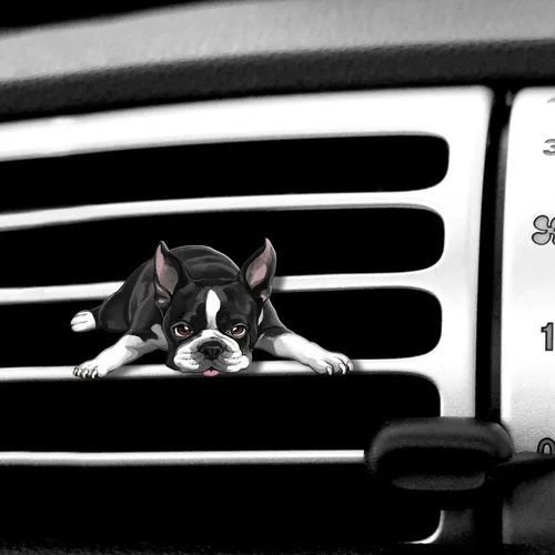 Vista 16 de WIRESTER Clip de ventilación con aroma fresco para automóvil, accesorios decorativos, decoración interior para autos