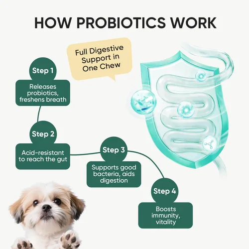 Vista 4 de Probióticos para perros Salud digestiva intestinal Masticables probióticos para perros Enzimas digestivas Alivian la diarrea Inmunidad Problemas