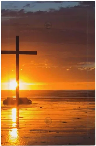 Vista 52 de Cubierta de placa de pared dúplex para dispositivo eléctrico de 1 cuadrilla, madera blanca y gris, puerta de granero, tablón de madera rústica