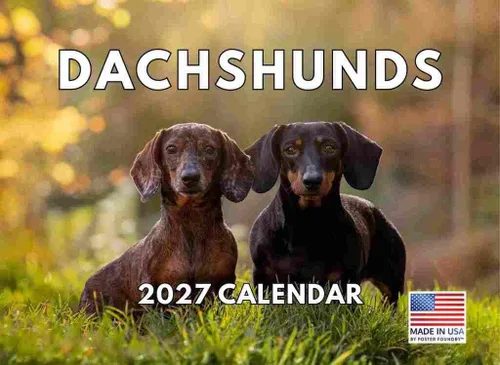 Vista 181 de Calendario de pared mensual 2025 Great Dane de 12 meses, fabricado en Estados Unidos