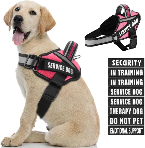 Vista 18 de Juego de arnés y parches para chaleco de perro, arnés de perro de servicio en entrenamiento Animire con 10 parches para perros, chaleco reflectante