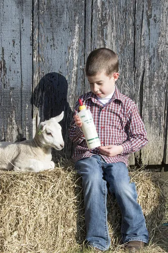 Vista 3 de Neogen Ideal 7004 Lamb & Kid Bottle 16oz w/Red Screw-On Teat