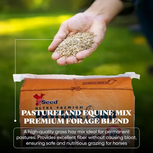 Vista 3 de X-Seed Mezcla de semillas de forraje equino con microimpulso para caballos y ganado, pasto sin cortar con trébol, raigrás y verduras perennes