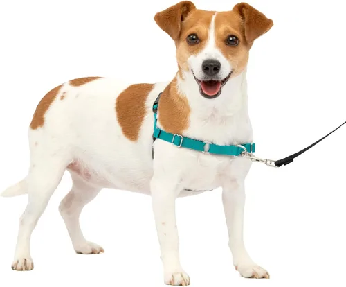 Vista 12 de Arnés de paseo fácil de PetSafe, Petite, Negro/Plateado