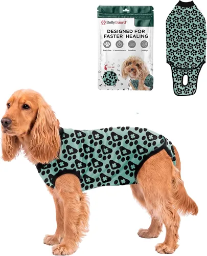 Vista 31 de BellyGuard Traje de recuperación de cirugía para perros, mameluco para perros para cuidado posoperatorio, ropa de recuperación para hembras y Azul