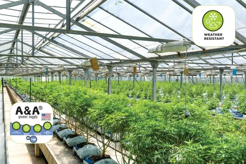 Vista 4 de A&A Película de plástico para invernaderos de 7 mil cubierta de polietileno transparente de 5 años, resistente a los rayos UV, resistente, calidad