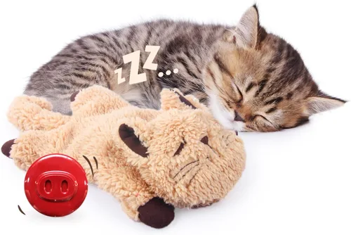 ALL FOR PAWS Juguetes para gatos de interior, gato ronroneando, juguetes de hierba gatera, juguete de peluche para gatos, almohada para gatos,