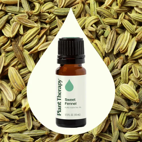 Vista 3 de Plant Therapy Aceite esencial de hinojo dulce, 10 mL (1/3 oz) 100% puro, sin diluir, grado terapéutico