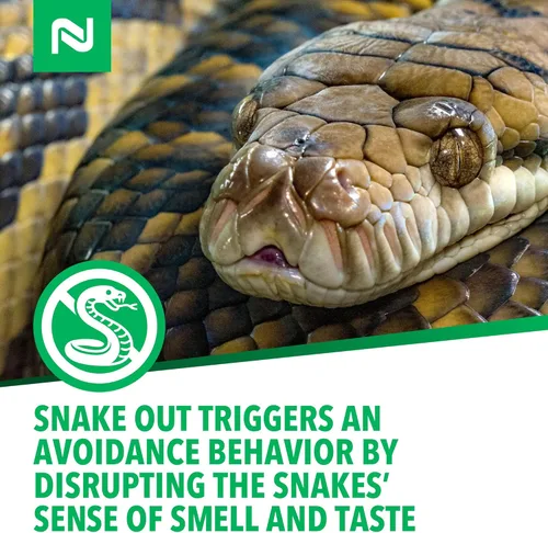 Vista 5 de Nisus Snake Out - Repelente de serpientes, biodegradable, seguro para mascotas y niños, fácil aplicación para patios, jardines y cobertizos, 4 libras