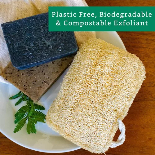 Vista 5 de Esponja exfoliante natural (paquete de 3) - Esponja corporal de lufa - Esponja de lufa - Esponja exfoliante corporal de lufa - Esponja orgánica