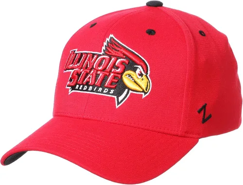 Vista 17 de ZHATS - Sombrero ajustado elástico para hombre de la NCAA, color del