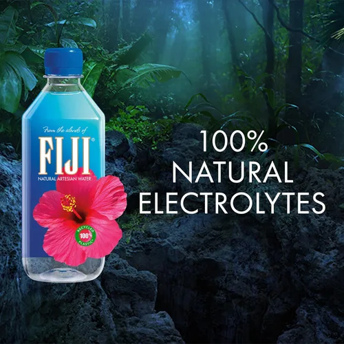 Vista 4 de Fiji - Agua Natural Artesiana, 16.9 onzas fluidas (Paquete de 24)
