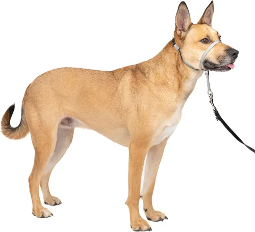 Vista 18 de Collar suave de conducción con DVD de entrenamiento PetSafe, Negro