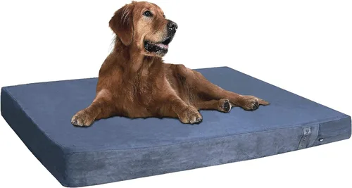 Vista 9 de Dogbed4less Cama ortopédica pequeña y mediana de espuma viscoelástica de gel para mascotas, forro impermeable con cubierta de microgamuza espresso