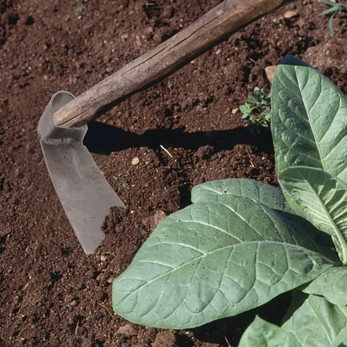 Vista 8 de Yardwe Jardín Azada Jardín Cultivador Herramientas de Jardinería Weeder Digging Herramientas de mano