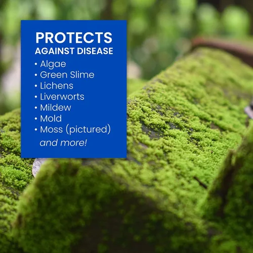 Vista 4 de BioAdvanced Limpiador y asesino de musgos y algas 2 en 1, listo para rociar, 32 onzas con control de hongos BioAdvanced para césped, listo