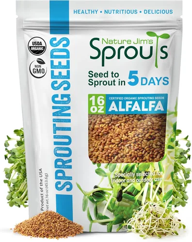 Nature Jims Sprouts Semillas de alfalfa – Kit de cultivo de brotes orgánicos sin OMG para plantar – Bolsa resellable premium para semillas frescas