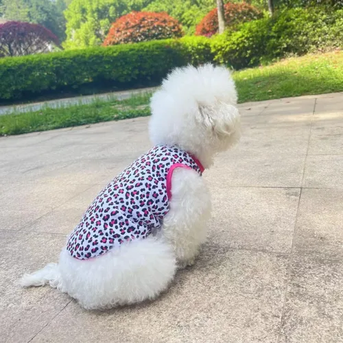 Vista 4 de Ropa para mascotas, camiseta con estampado de leopardo, chaleco de algodón para cachorros, gatos, ropa de primavera y verano, transpirable, sin Agua
