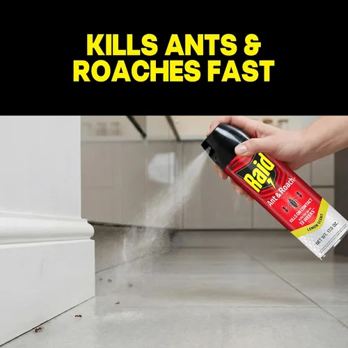 Vista 2 de Raid Ant & Roach Killer Spray para insectos enumerados, sigue matando durante semanas, aroma a limón, 17.5 onzas