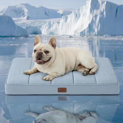 Vista 41 de Bedsure - Cama ortopédica pequeña para perros chicos, impermeable, con funda extraíble lavable, tapete de espuma con forma de huevera para mascotas