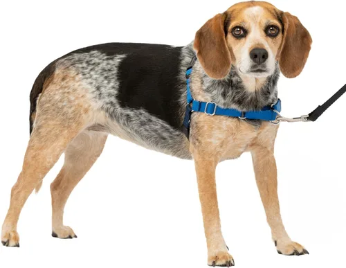 Vista 48 de Arnés de paseo fácil de PetSafe, Petite, Negro/Plateado