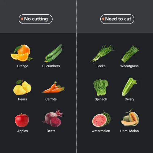 Vista 8 de REPALY - Exprimidor compacto de masticación lenta - Máquinas de exprimir hasta 92% de rendimiento de jugo, canaleta ancha de 3.1" para frutas