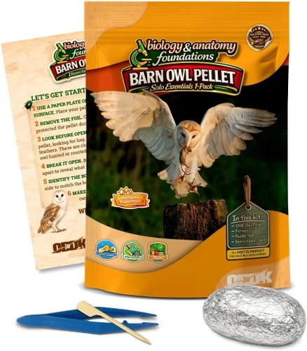 Vista 10 de NW Barn - Kit de disección de excrementos de búho (incluye instrumental e ilustraciones educativas)