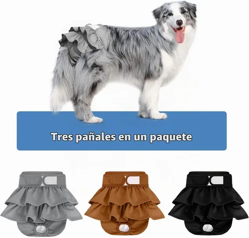 Vista 7 de Pañales reutilizables para perras hembras, paquete de 3, pañales para perras para período, celo e incontinencia, entrenamiento de cachorros