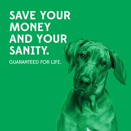 Vista 5 de Goughnuts — Juguetes para perros para masticadores agresivos Palo de juguete para perros prácticamente indestructible para razas pequeñas Verde