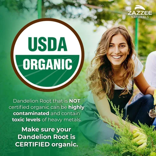 Vista 3 de Zazzee USDA Extracto Orgánico de Raíz de Diente de León 10:1, Concentración de 3000 mg, 60 Cápsulas, Suministro para 2 Meses, Extracto Estandarizado