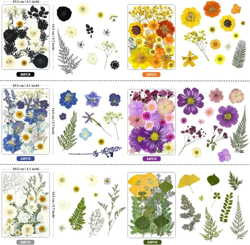 Vista 3 de 150 piezas de flores prensadas para manualidades, flores secas coloridas para manualidades, flores secas prensadas naturales reales, hojas secas a
