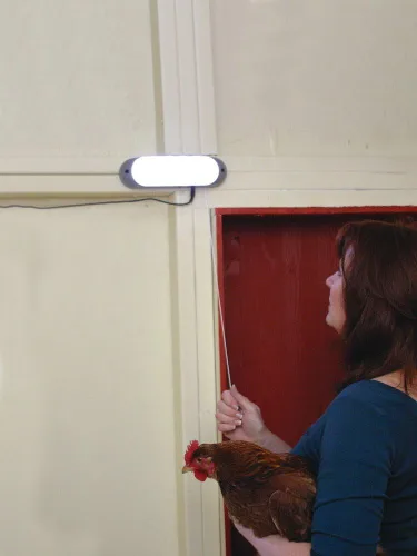 Vista 2 de Designers Edge by Coleman Cable L-949, luz solar