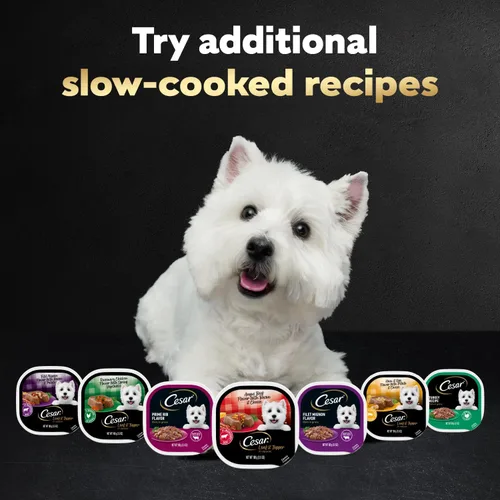 Vista 7 de Comida enlatada para perros adultos,sabor césar, Carne