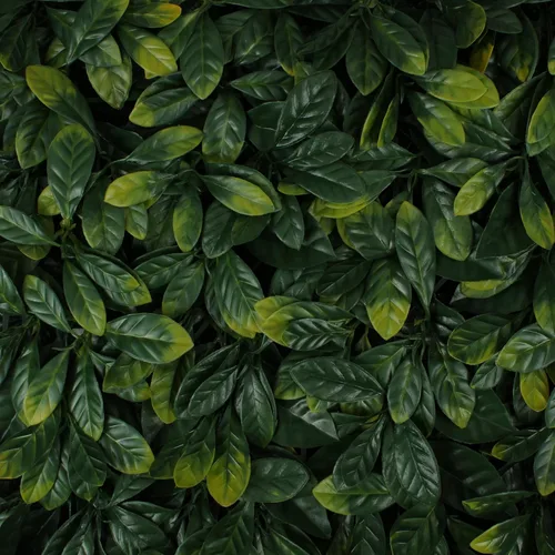 Vista 29 de 3rd Street Inn Panel de vegetación, pared de seto artificial, telón de fondo de pared de plantas falsas, pantalla de privacidad, paneles Banyan