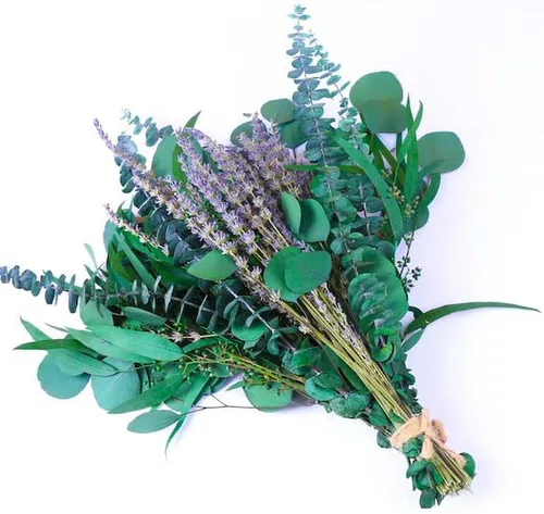 Vista 8 de 100 paquetes de flores secas de eucalipto y lavanda para ducha, 17 pulgadas, tallo de hojas de eucalipto de dólar plateado naturales, plantas
