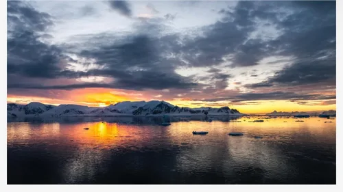 Vista 10 de kril Suplemento de salud de aceite de krill antártico para perros y gatos, líquido de 4 onzas con QRILLPet ASTA Omega Plus, fórmula de alta