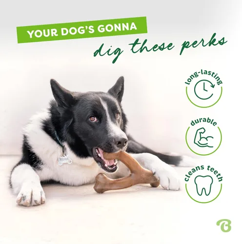 Vista 4 de Benebone Wishbone - Juguete masticable duradero para perros para masticadores agresivos, fabricado en Estados Unidos, pequeño, sabor a tocino real