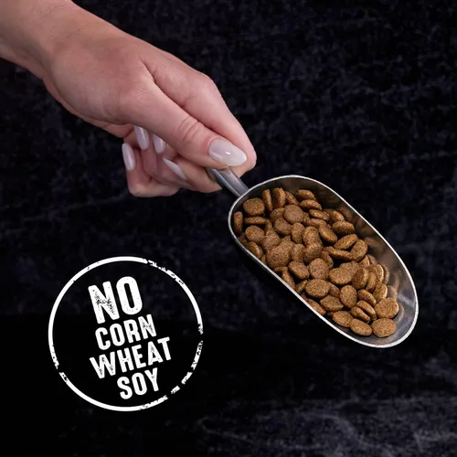 Vista 6 de Alimento seco para gatos CRAVE alto en proteína, sin cereales