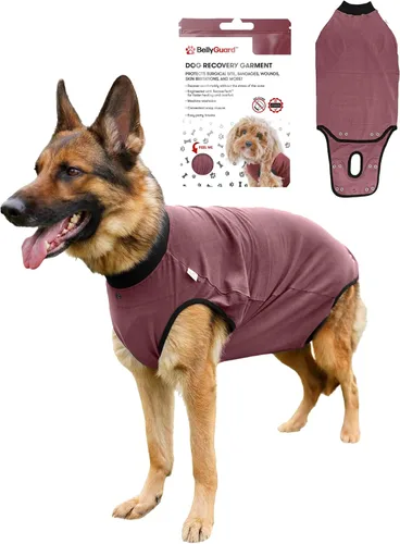 Vista 17 de BellyGuard Traje de recuperación de cirugía para perros, mameluco para perros para cuidado posoperatorio, ropa de recuperación para hembras