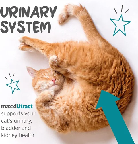 Vista 4 de maxxipaws maxxiUtract Soporte urinario y de vejiga - Suplemento en polvo para gatos, 3.2 onzas